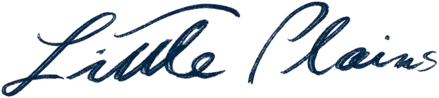 Little Plains Logo